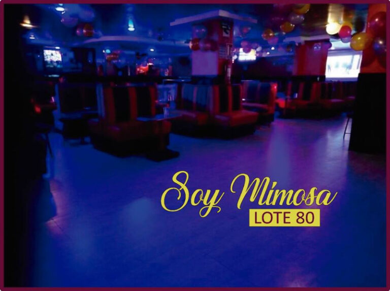 club lote 80 9 768x573