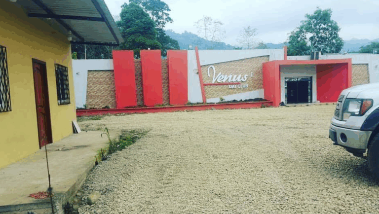 club venus 6 768x434
